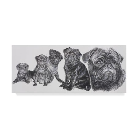 Barbara Keith 'Growing Up Pug' Canvas Art,8x19